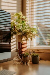 resized_115984